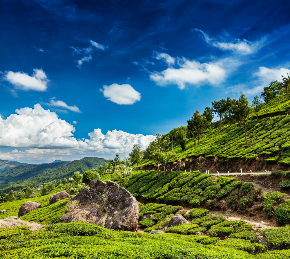 Munnar