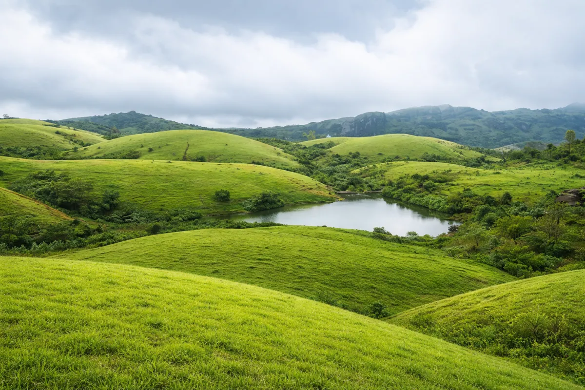 Vagamon
