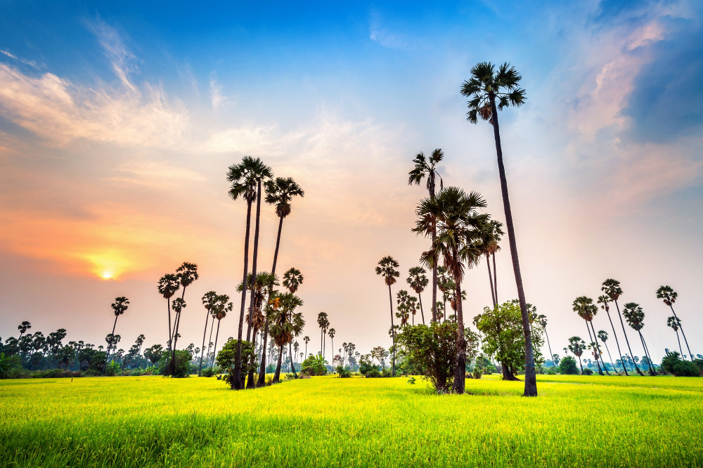 Explore Kerala