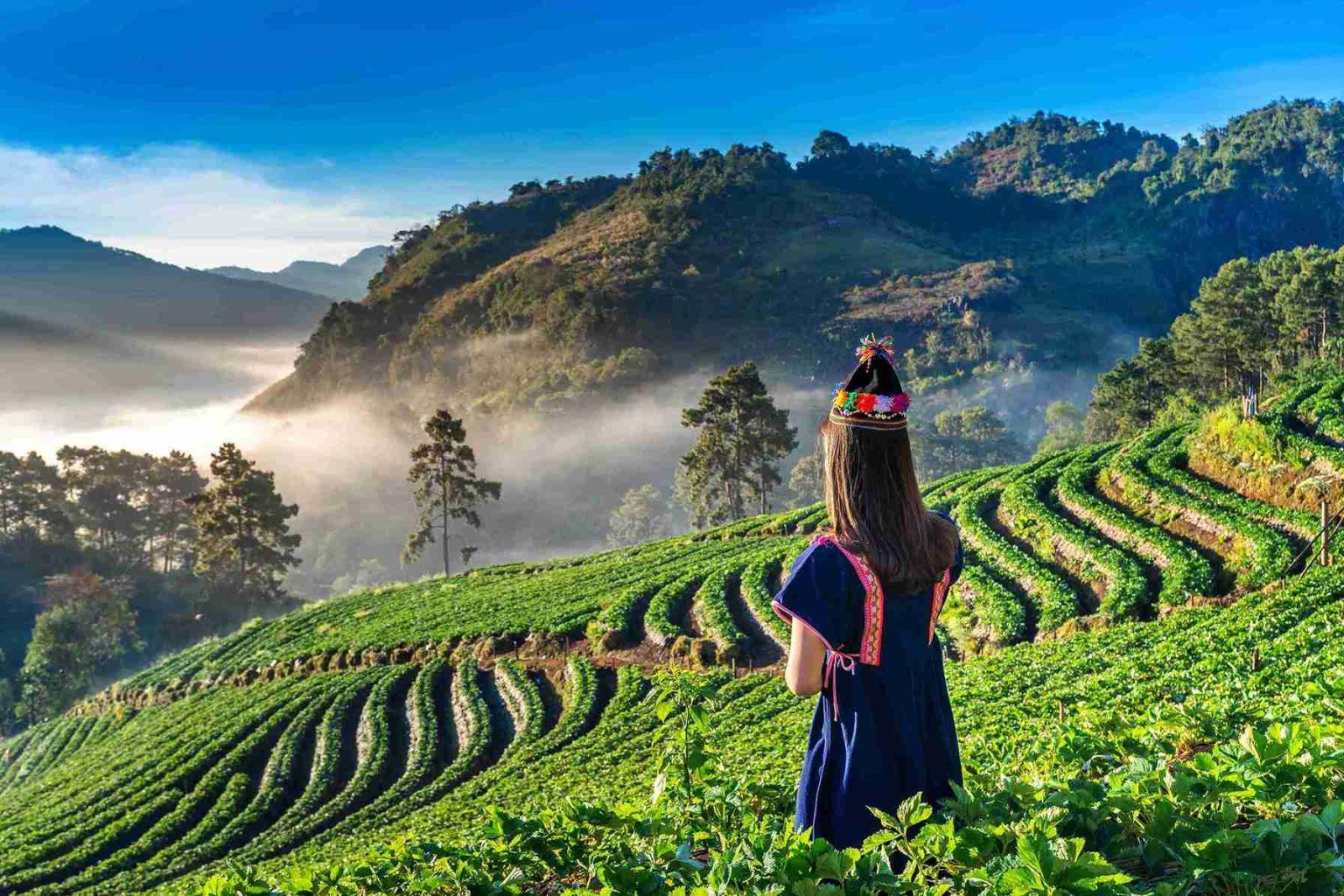 Kerala Family Highlights package