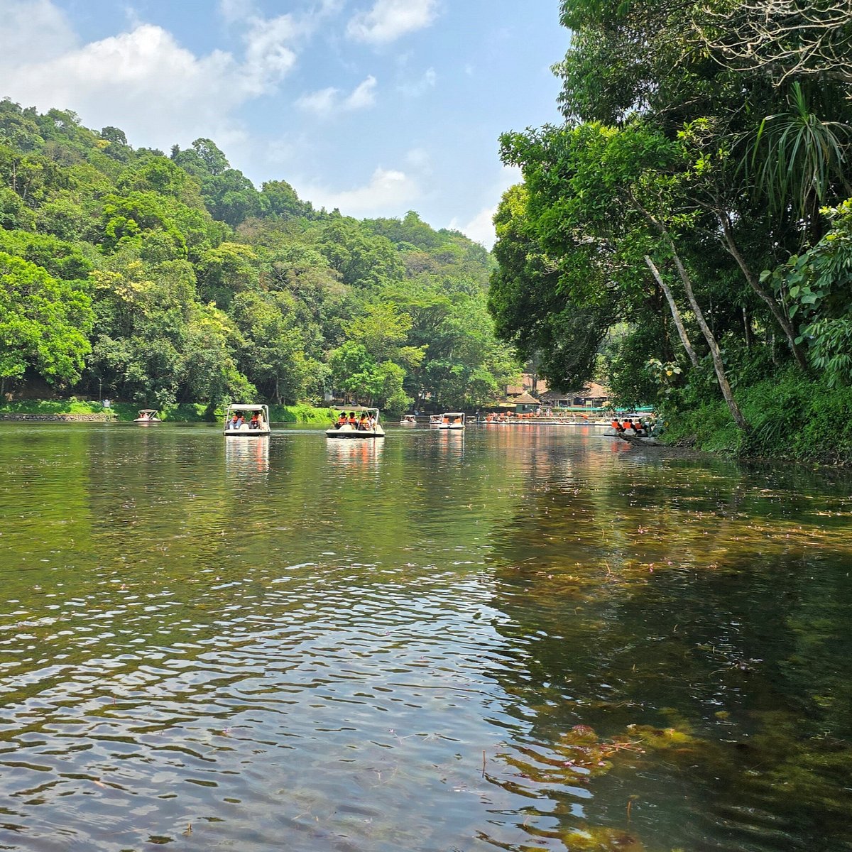 Pookode Lake